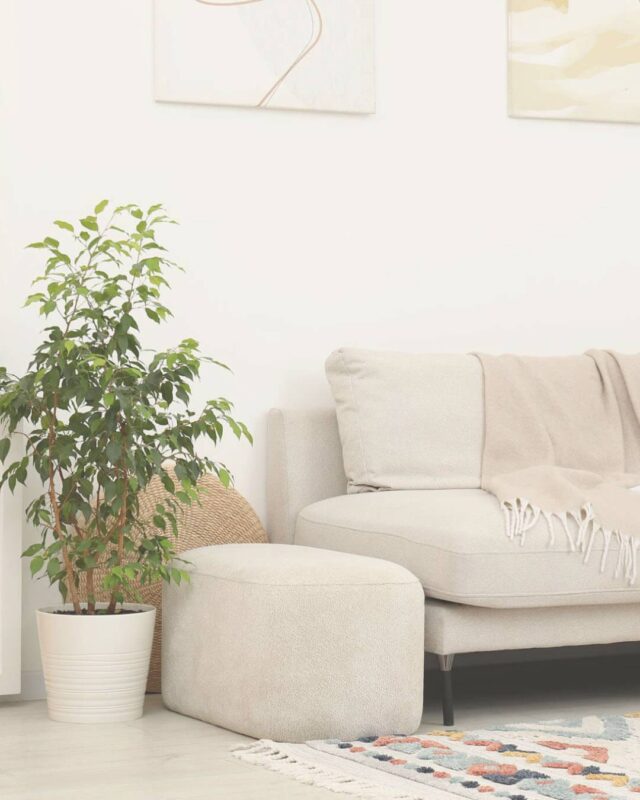 Beachside Property Rentals was built around one simple belief.Property management should feel calm.Not stressful.
Not confusing.
And not like you're constantly chasing updates.Many of our clients came to us after feeling unheard or out of the loop with previous agencies.So Beachside was built to do things differently.Clear communication.
Hands-on management.
And relationships that last.See our website for details#propertymanager #propertymanagement #review #investmentproperty